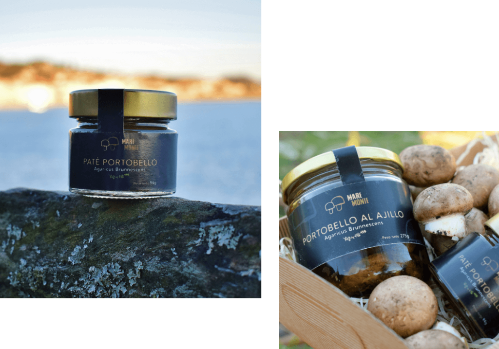 setas gourmet cultivadas en Galicia