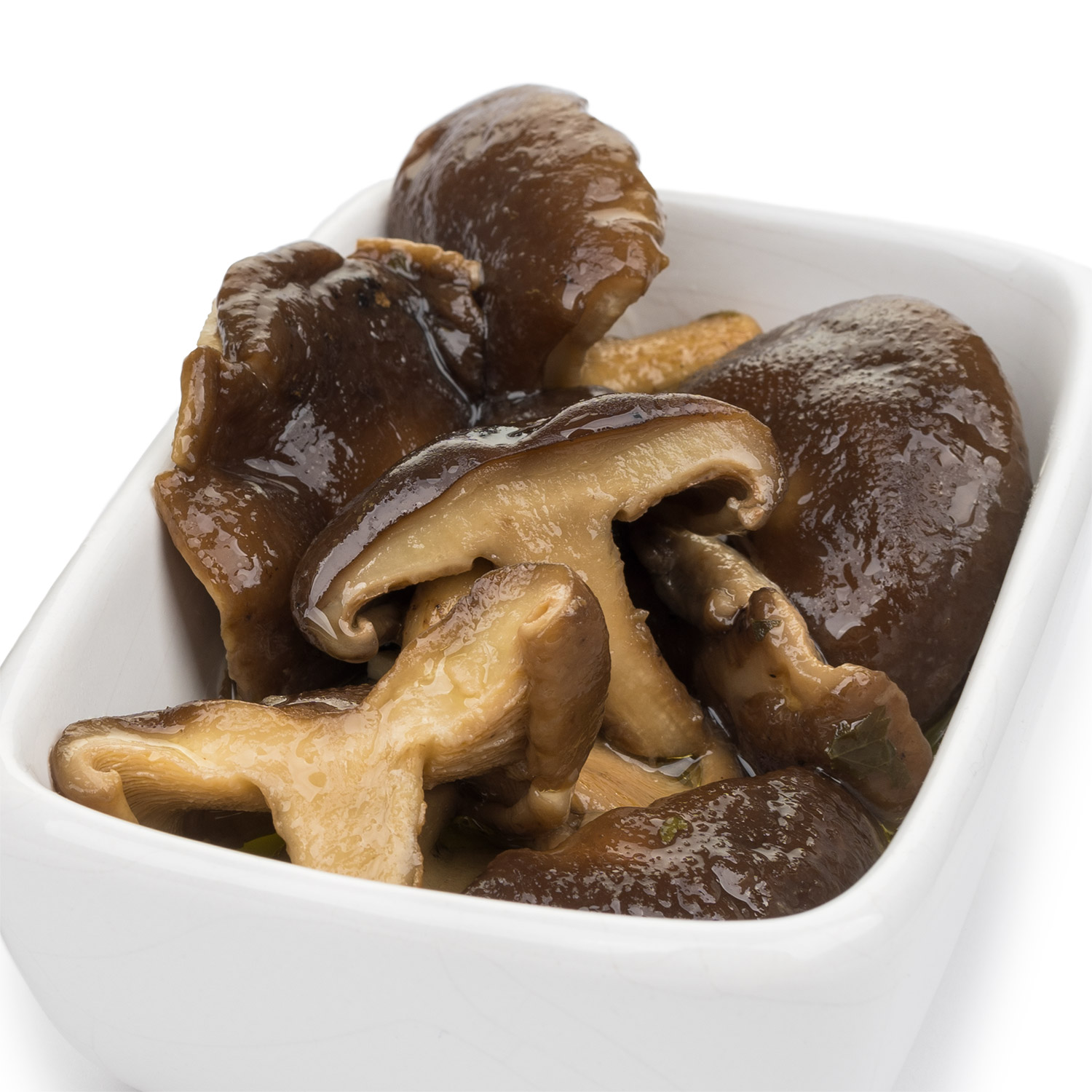 seta shitake calidad gourmet