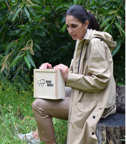 packaging setas gourmet sostenible de madera